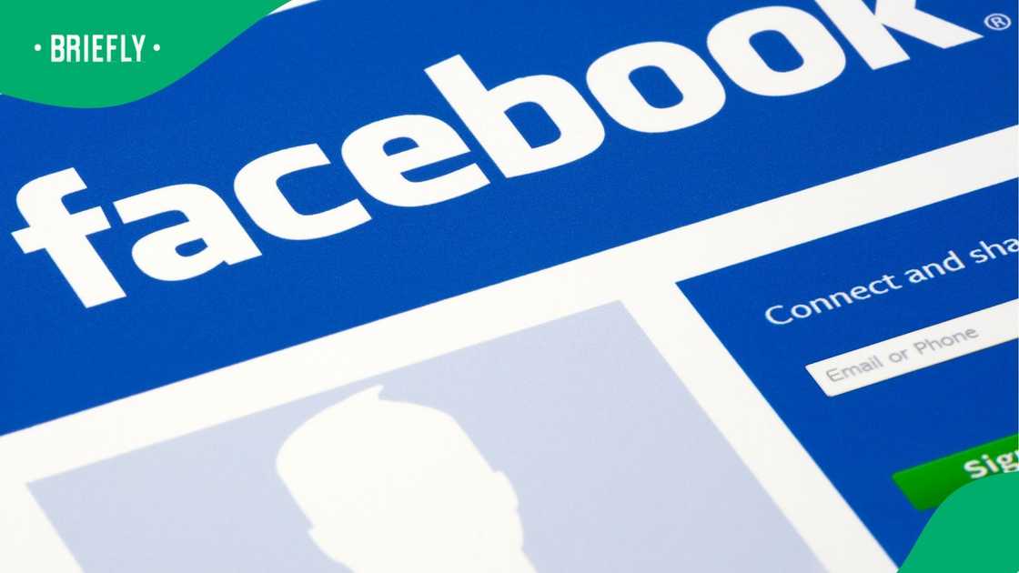 The report found that the trade operates across borders The report found that the trade operates across borders