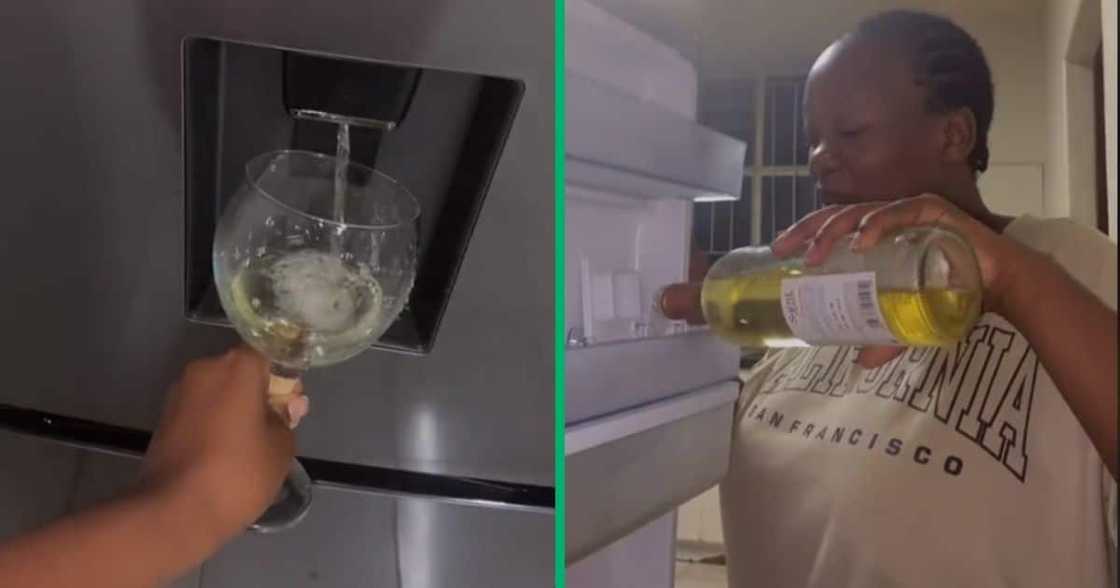 wine in fridge dispenser wine in fridge dispenser