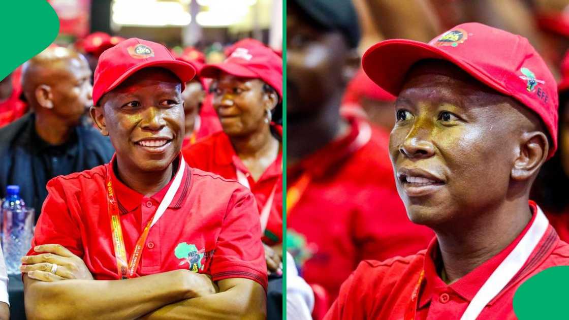 Julius Malema said the EFF is ready to join the Government of National Unity Julius Malema said the EFF is ready to join the Government of National Unity