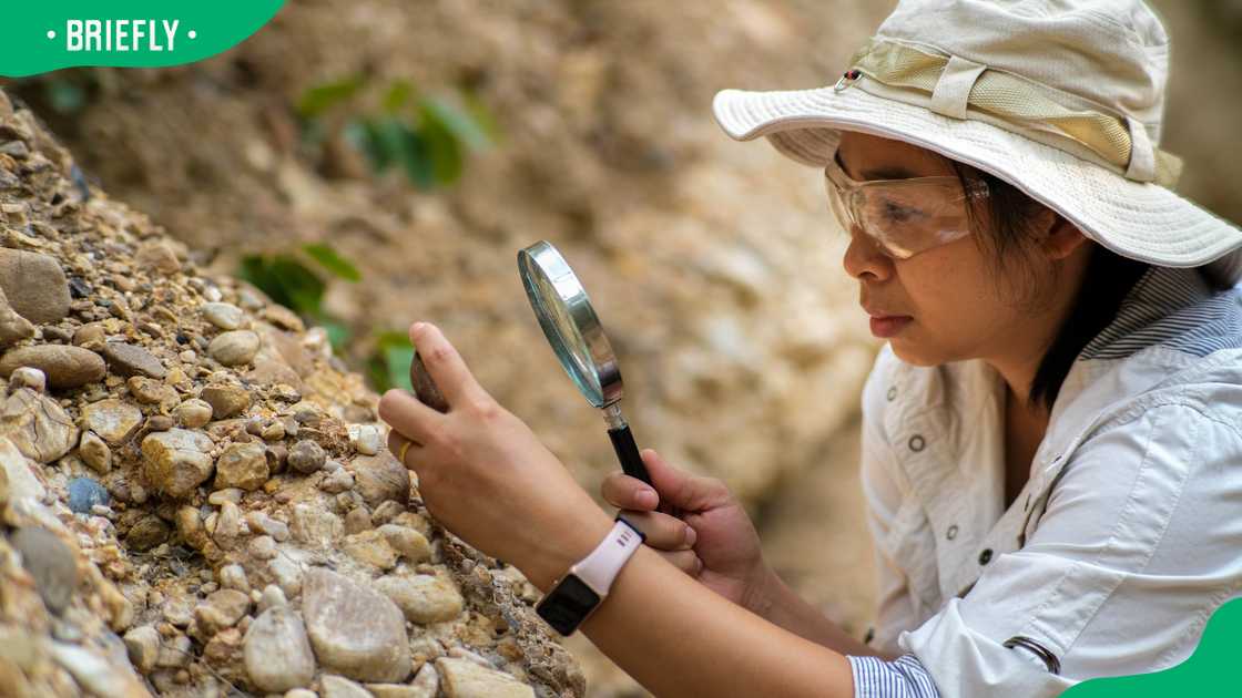 A female geologist analysing data
