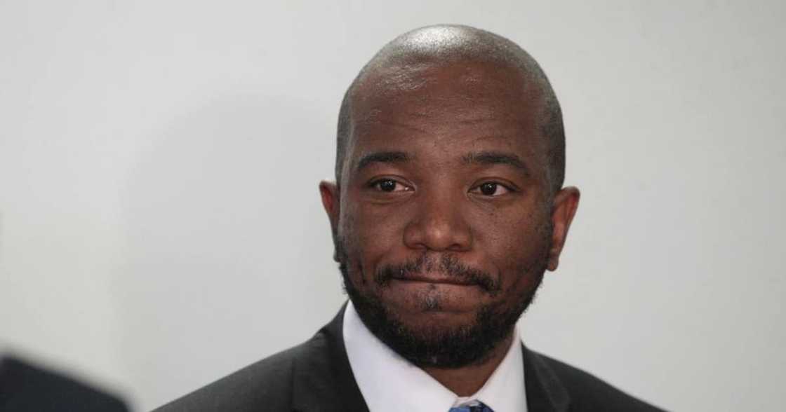 Mmusi Maimane, Viral video, Boy, Want to help, Twitter reactions Mmusi Maimane, Viral video, Boy, Want to help, Twitter reactions