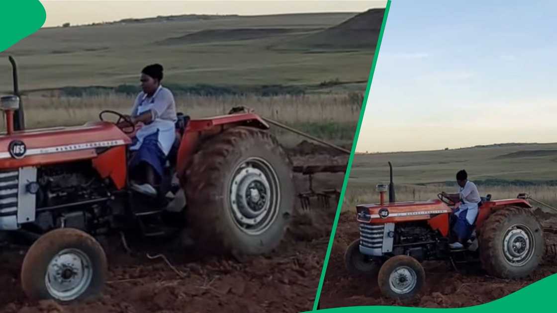 Woman drives tractor in TikTok video Woman drives tractor in TikTok video