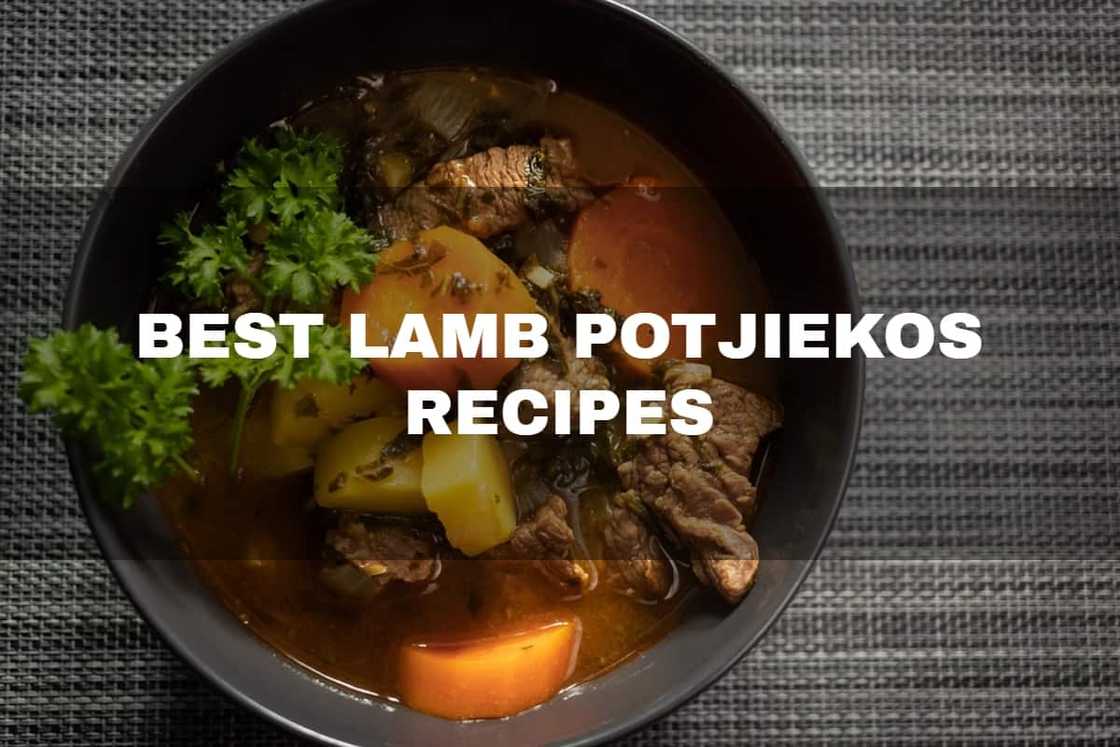 Best lamb potjiekos recipes Best lamb potjiekos recipes