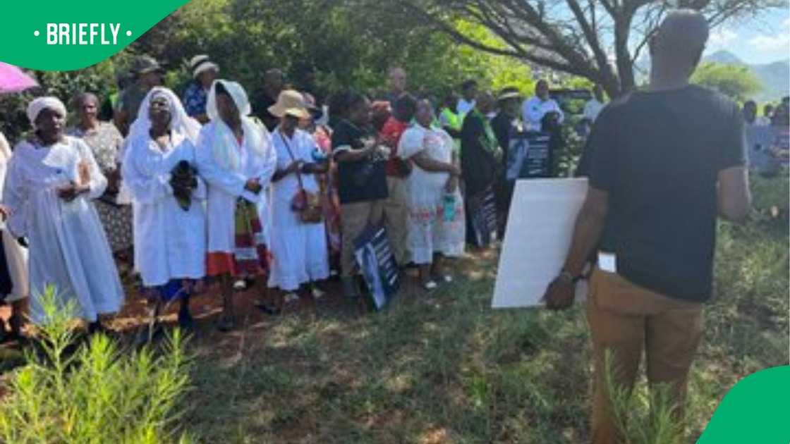 Lily mine anniversary Lily mine anniversary