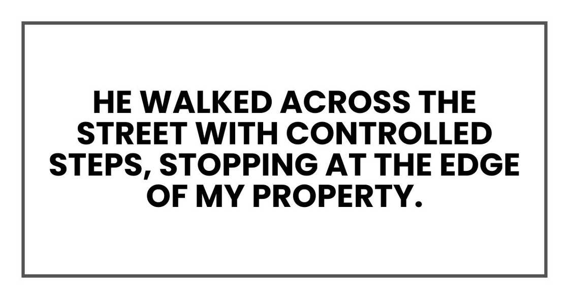 He walked across the street with controlled steps, stopping at the edge of my property.