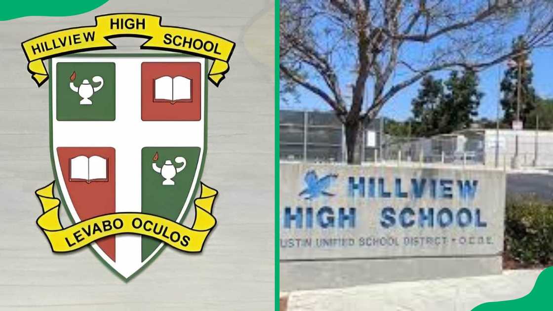 Hillview High School's logo
