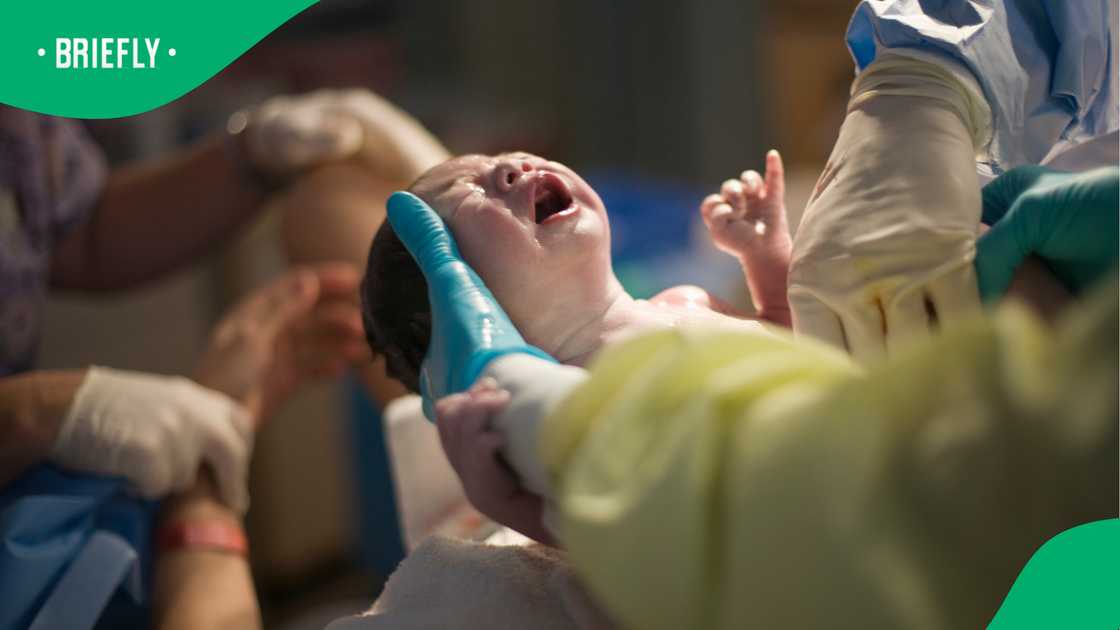 South Africa’s birth rate hits record low as Mzansi weighs the impact South Africa’s birth rate hits record low as Mzansi weighs the impact
