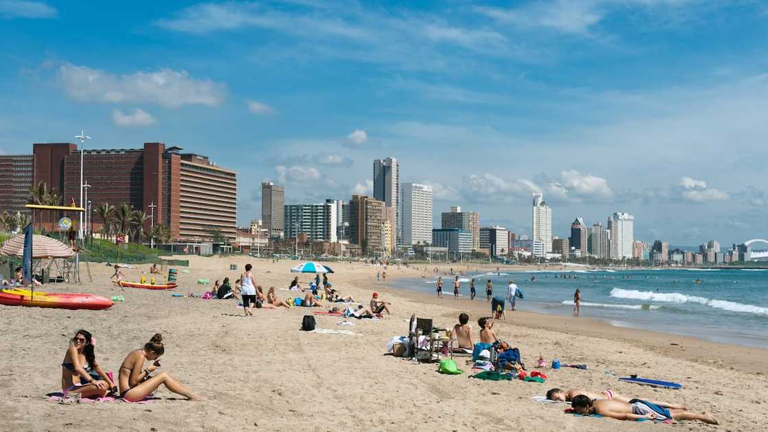 List of cities in South Africa with the best sights and activities: top 15 list List of cities in South Africa with the best sights and activities: top 15 list