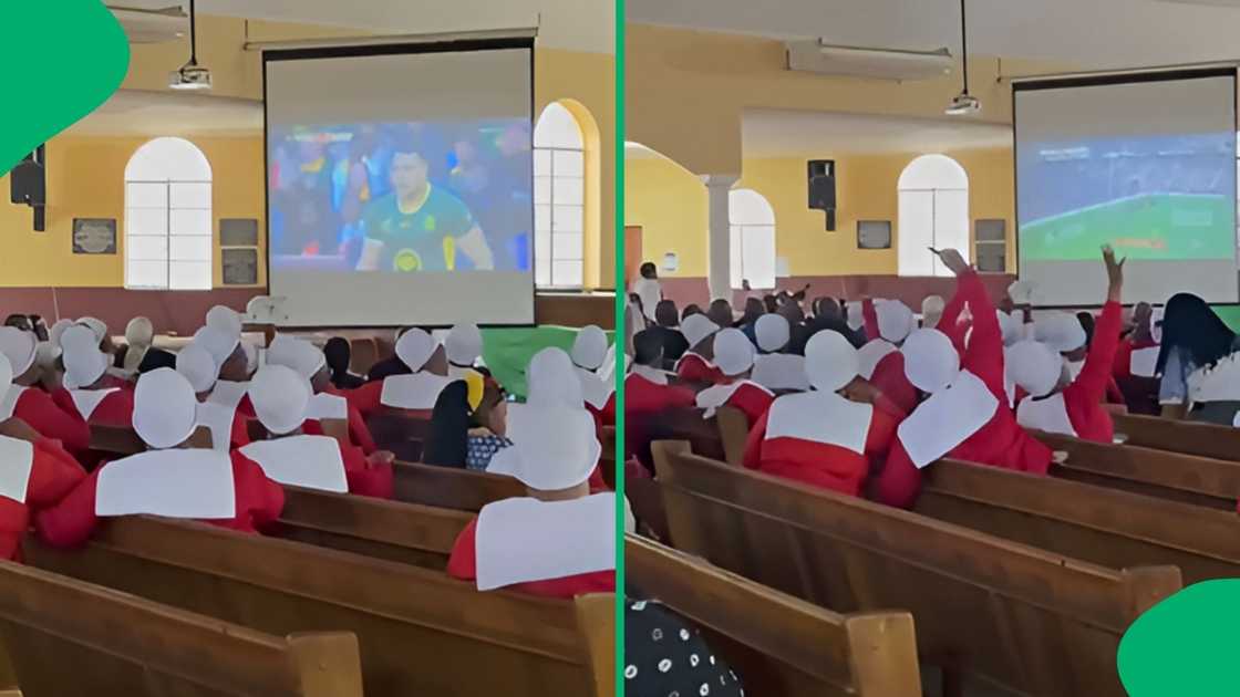 Cheers erupted across the room as the Springboks made a key play on screen Cheers erupted across the room as the Springboks made a key play on screen