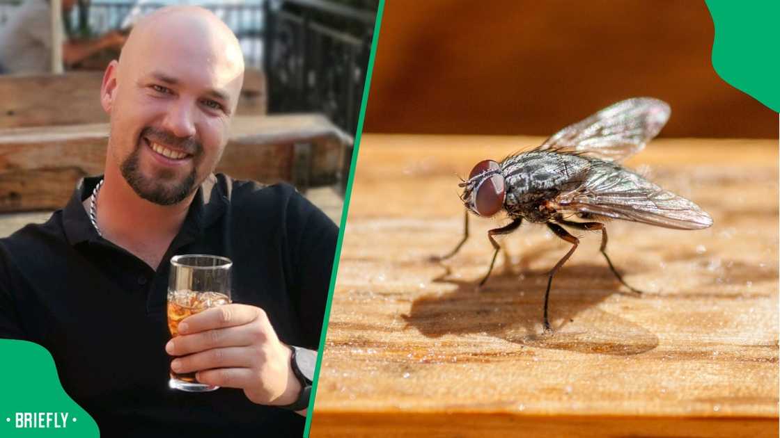 A man showed a fly stuck on food.