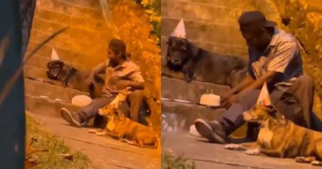 Heartwrenching, crying, emotional video, pet owner, dogs, furbabies, dog lover, animal lover, viral video, trending video, viral news