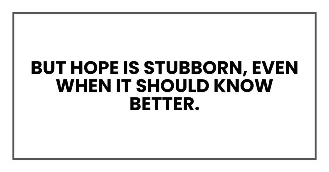 But hope is stubborn, even when it should know better. But hope is stubborn, even when it should know better.