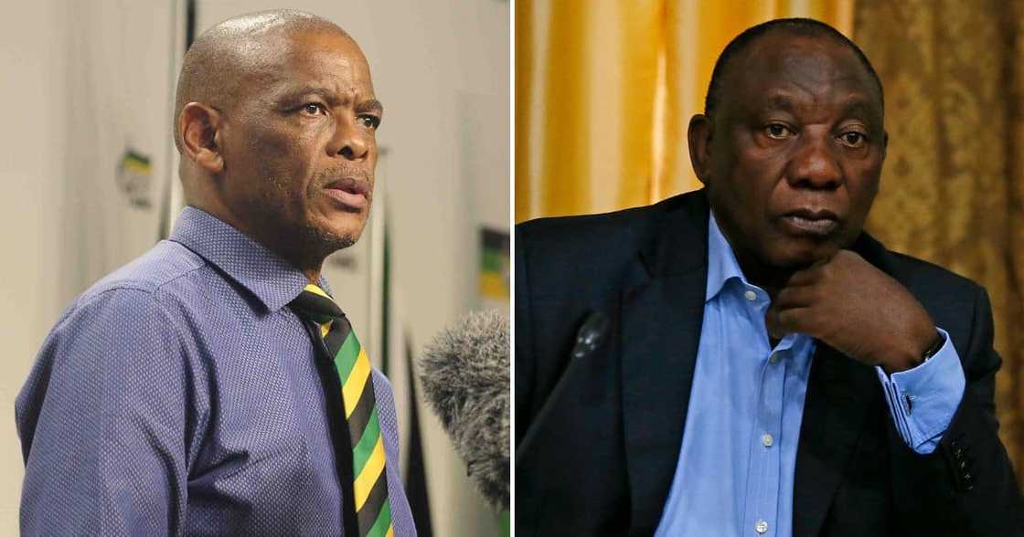 Ace Magashule, weighs in, Cyril Ramaphosa, farm theft, people charged, step aside, ANC Ace Magashule, weighs in, Cyril Ramaphosa, farm theft, people charged, step aside, ANC