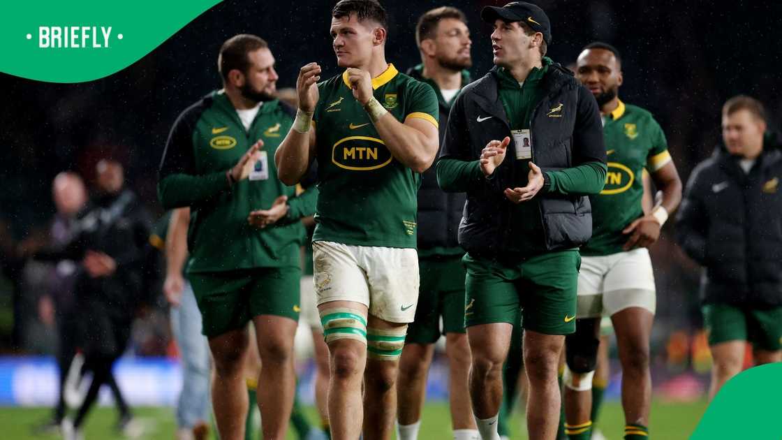 Springboks, South Africa, Elrigh Louw