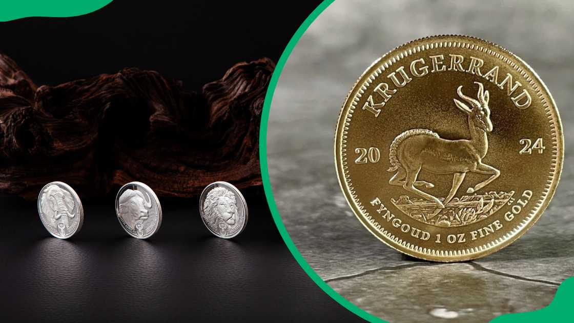 SA's Big 5 coins on a black surface and a Krugerrand gold coin on a grey surface SA's Big 5 coins on a black surface and a Krugerrand gold coin on a grey surface