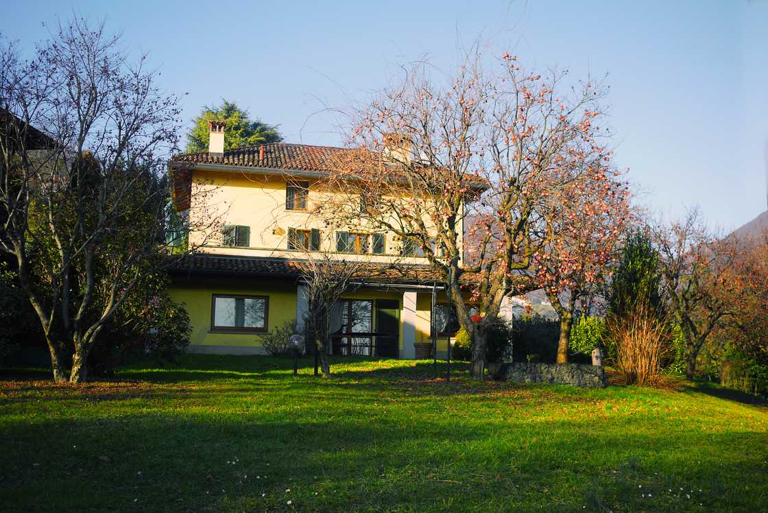 A peaceful Johannesburg mansion garden at sunrise. A peaceful Johannesburg mansion garden at sunrise.