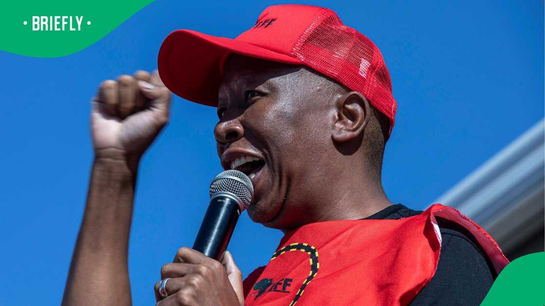 Julius Malema continues to sing the song Julius Malema continues to sing the song