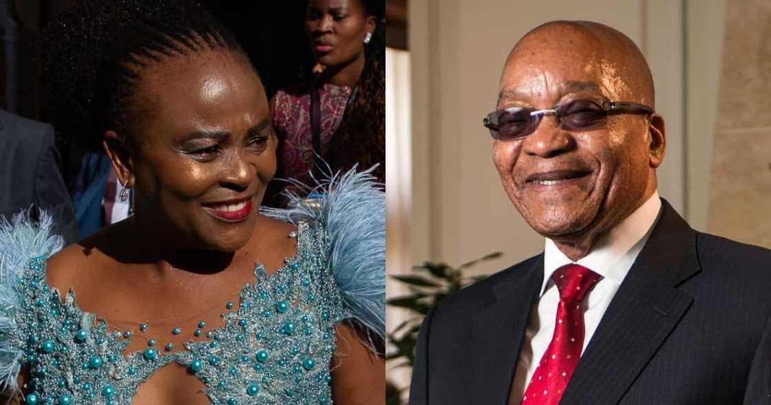 Busisiwe Mkhwebane, states that Jacob Zuma, shouldn't go to jail Busisiwe Mkhwebane, states that Jacob Zuma, shouldn't go to jail