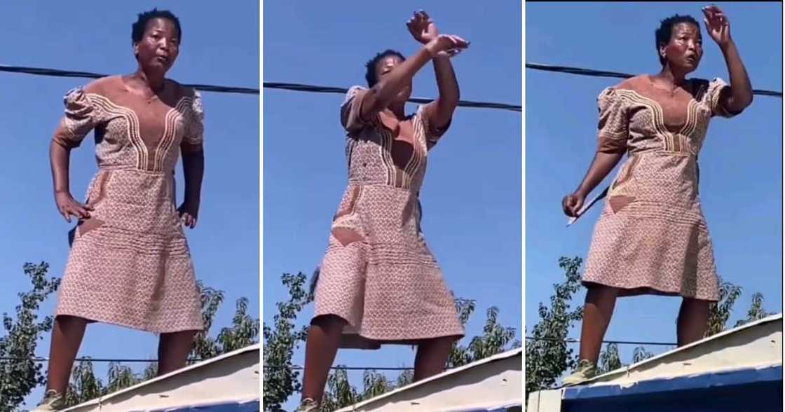 Gogo busts cool moves Gogo busts cool moves