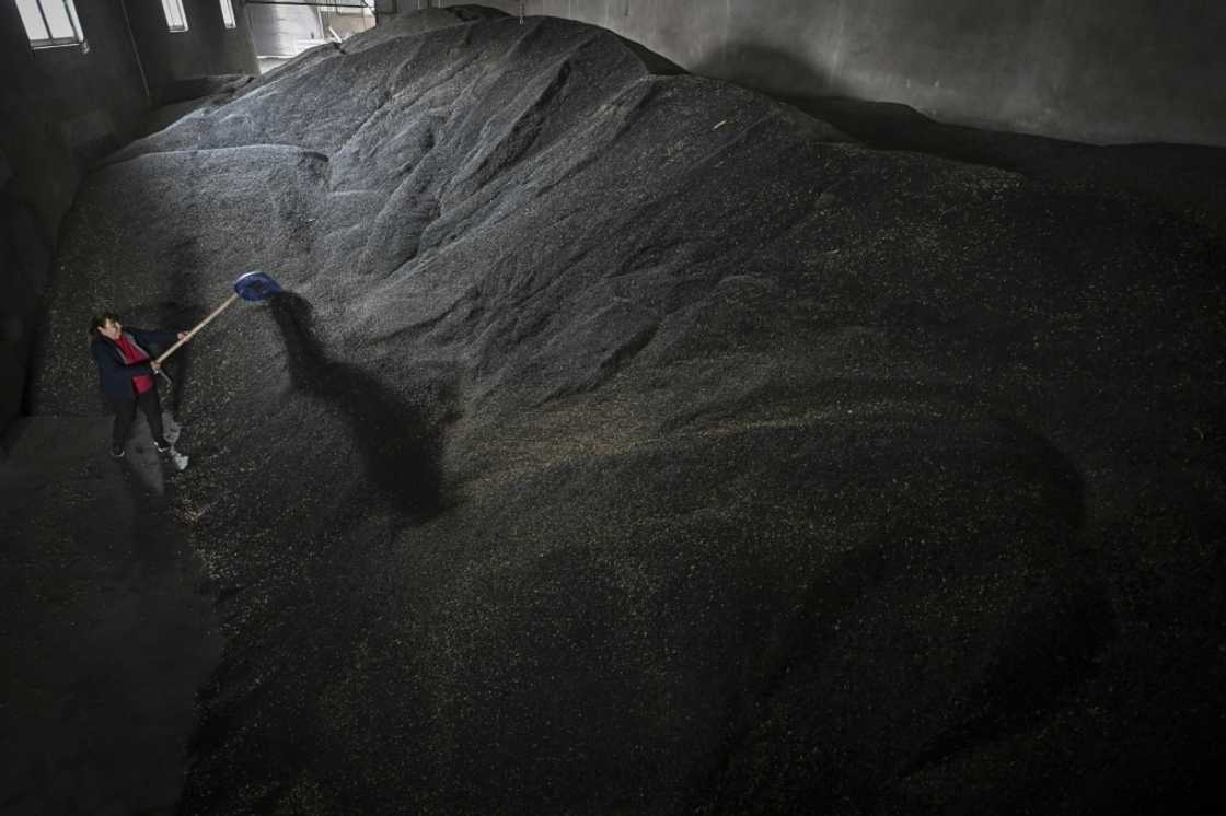 Farmers in eastern EU states have protested in recent months, saying Ukrainian grains have saturated the market and led to a massive drop in prices in their countries Farmers in eastern EU states have protested in recent months, saying Ukrainian grains have saturated the market and led to a massive drop in prices in their countries