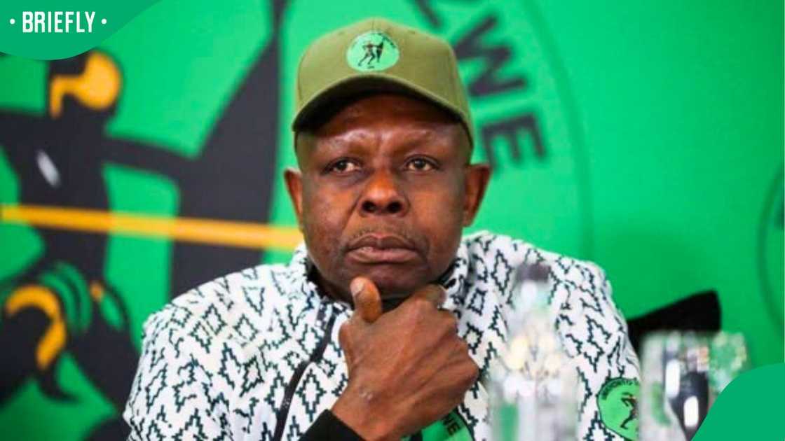 The uMkhonto weSizwe Party has suspended Dr John Hlophe