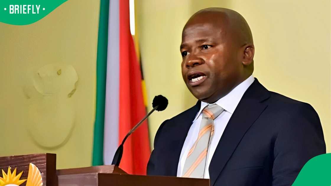 Des van Rooyen replaced Colleen Makhubele