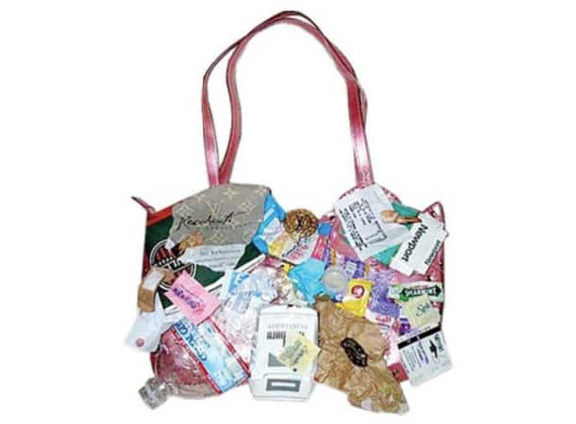 The most expensive Louis Vuitton bag in 2023 The most expensive Louis Vuitton bag in 2023