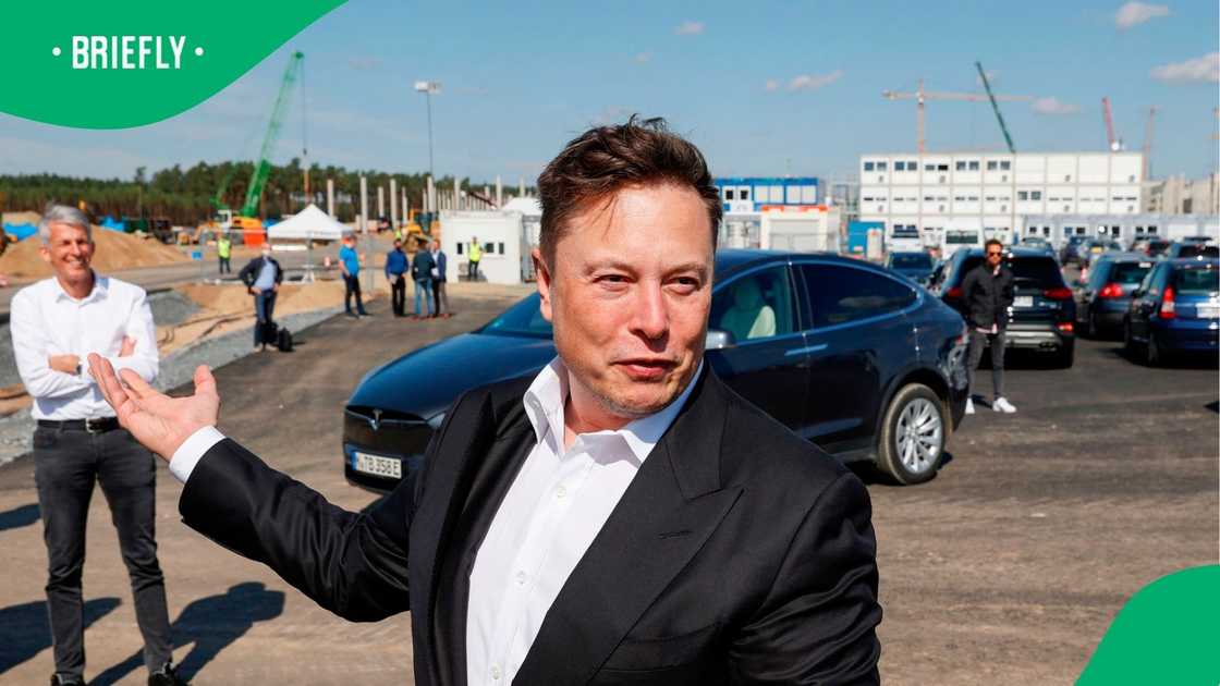 Elon Musk: Tesla records $89 billion market share slash amid slowed European support