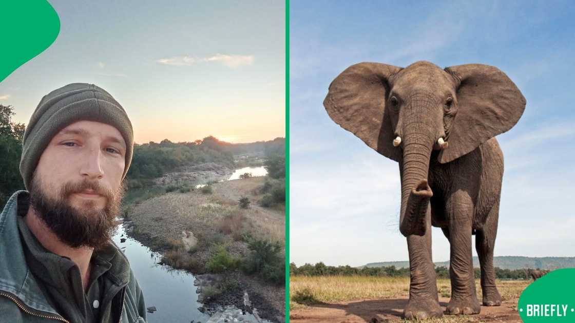 A man called out another guy for his behavior towards a wild elephant in a video that sparked outrage.