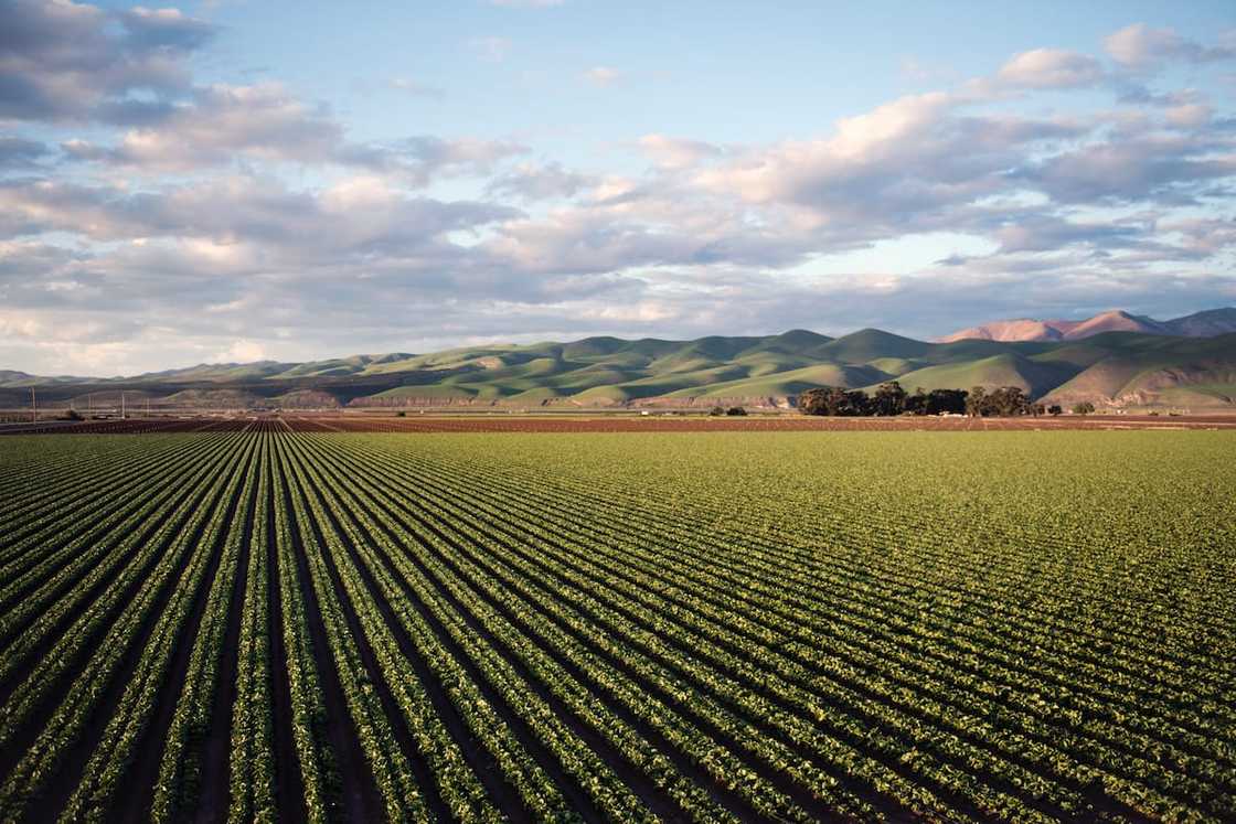 list of SETAs in South Africa list of SETAs in South Africa