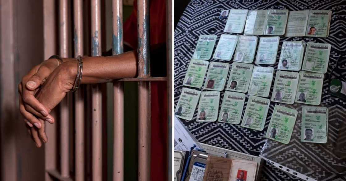 Fake Home Affairs office shutdown, one Zim national arrested, Hillbrow, Johannesburg Fake Home Affairs office shutdown, one Zim national arrested, Hillbrow, Johannesburg