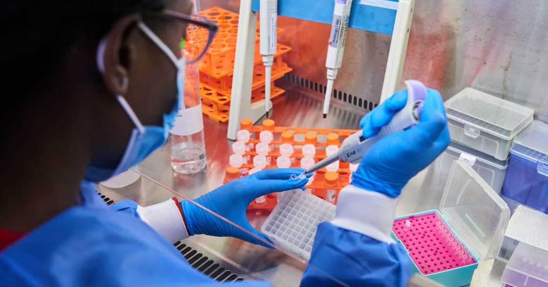 PCR tests, Covid 19, Coronavirus