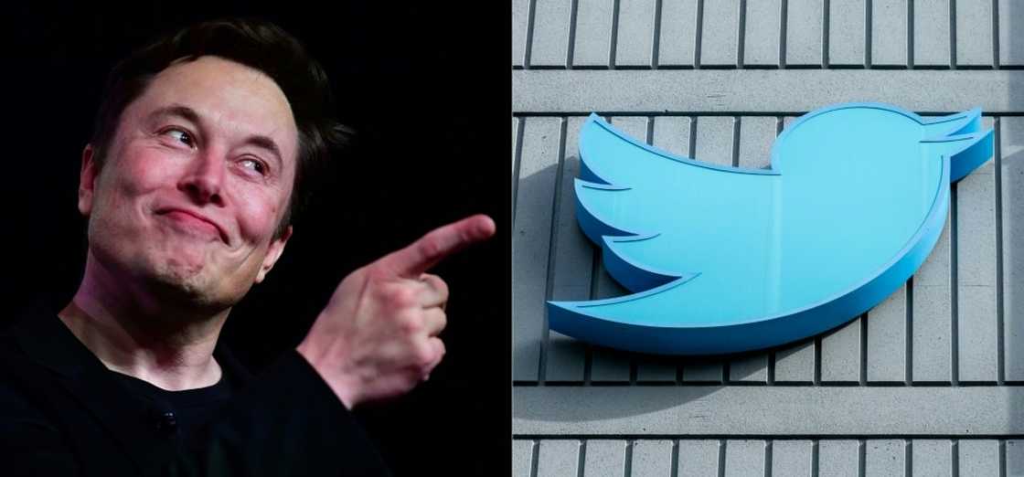 Elon Musk bought Twitter late last year and has since slashed the workforce, introduced paid-for accounts and reinstated banned users Elon Musk bought Twitter late last year and has since slashed the workforce, introduced paid-for accounts and reinstated banned users
