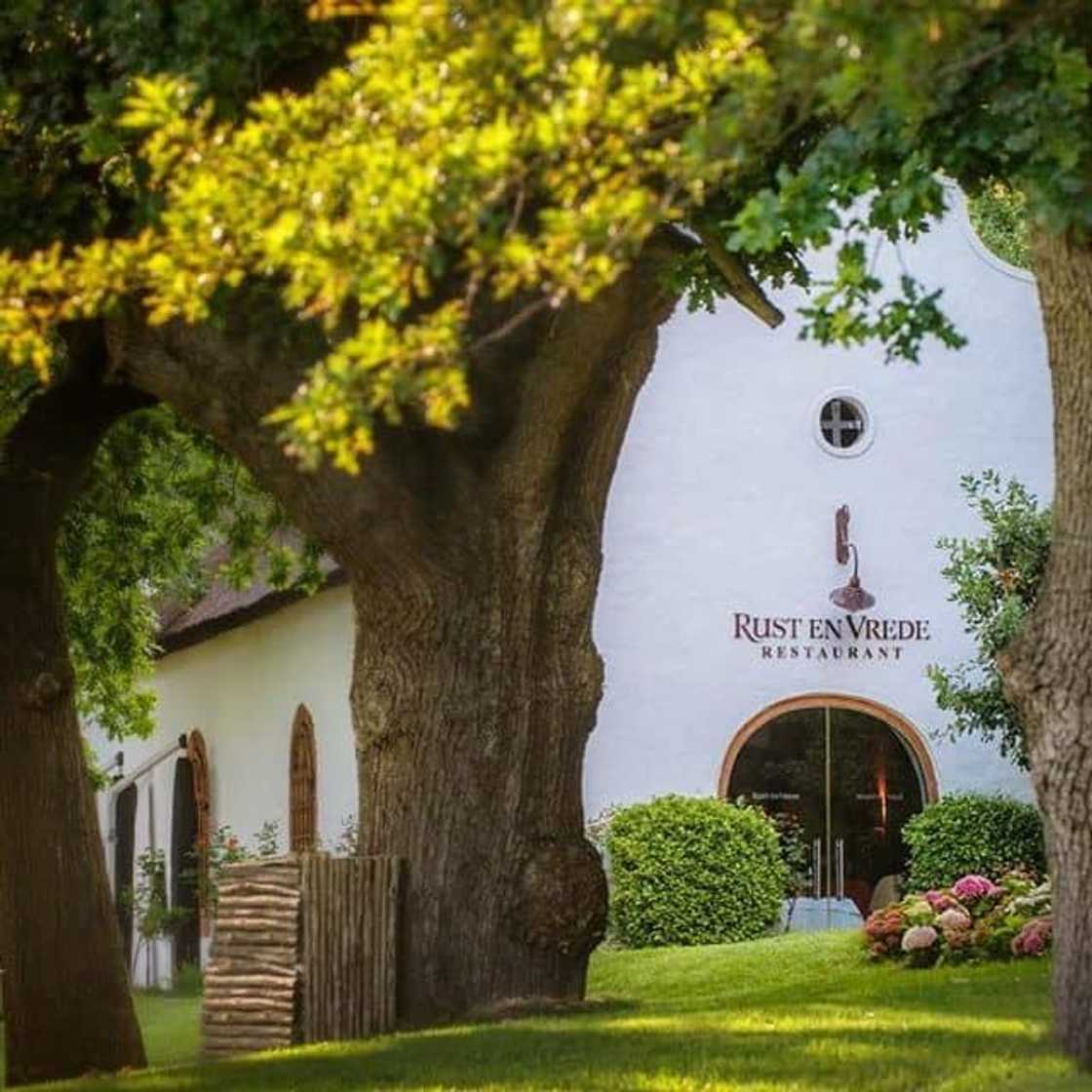 The best restaurants in Stellenbosch wine farms The best restaurants in Stellenbosch wine farms