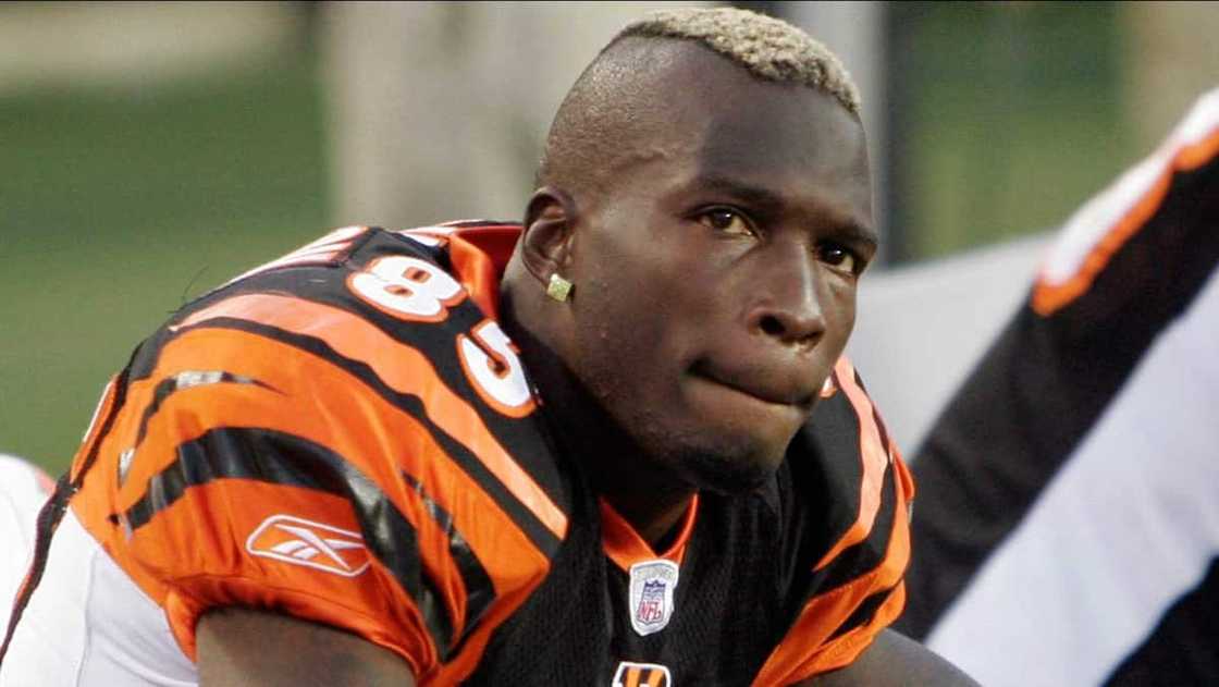 Did Chad OchoCinco win a Superbowl?