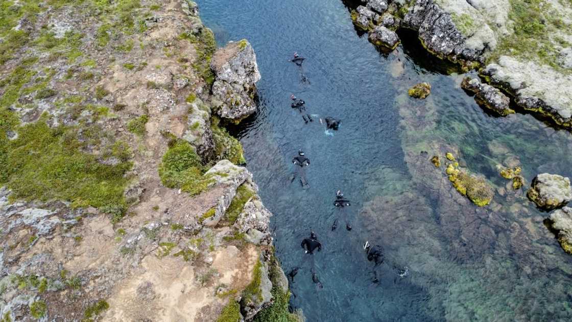 Taking a dip in Silfra requires a lot of preparation: dry suit, diving gloves, swimming hat, mask, snorkel, and fins Taking a dip in Silfra requires a lot of preparation: dry suit, diving gloves, swimming hat, mask, snorkel, and fins