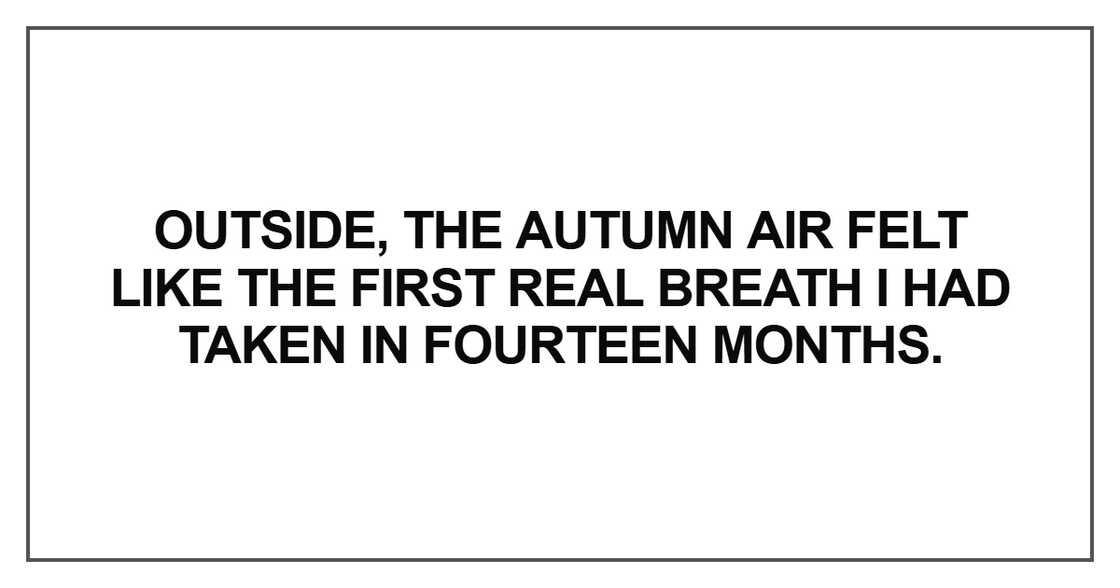the autumn air felt like the first real breath I had taken in fourteen months