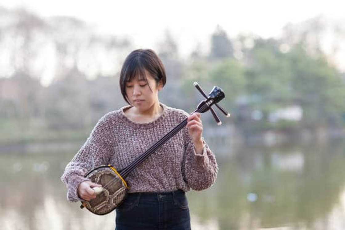 japanese stringed instruments