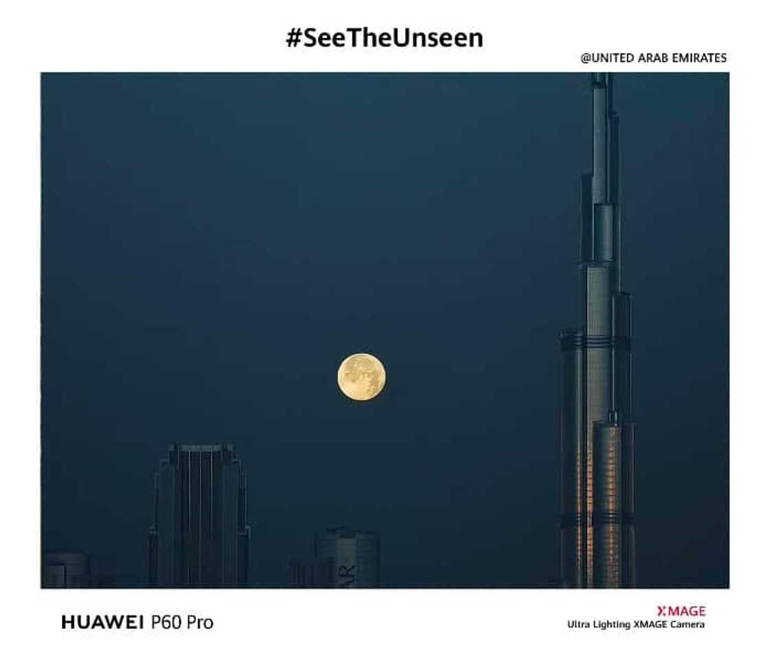 Huawei P60 Pro, photography Huawei P60 Pro, photography