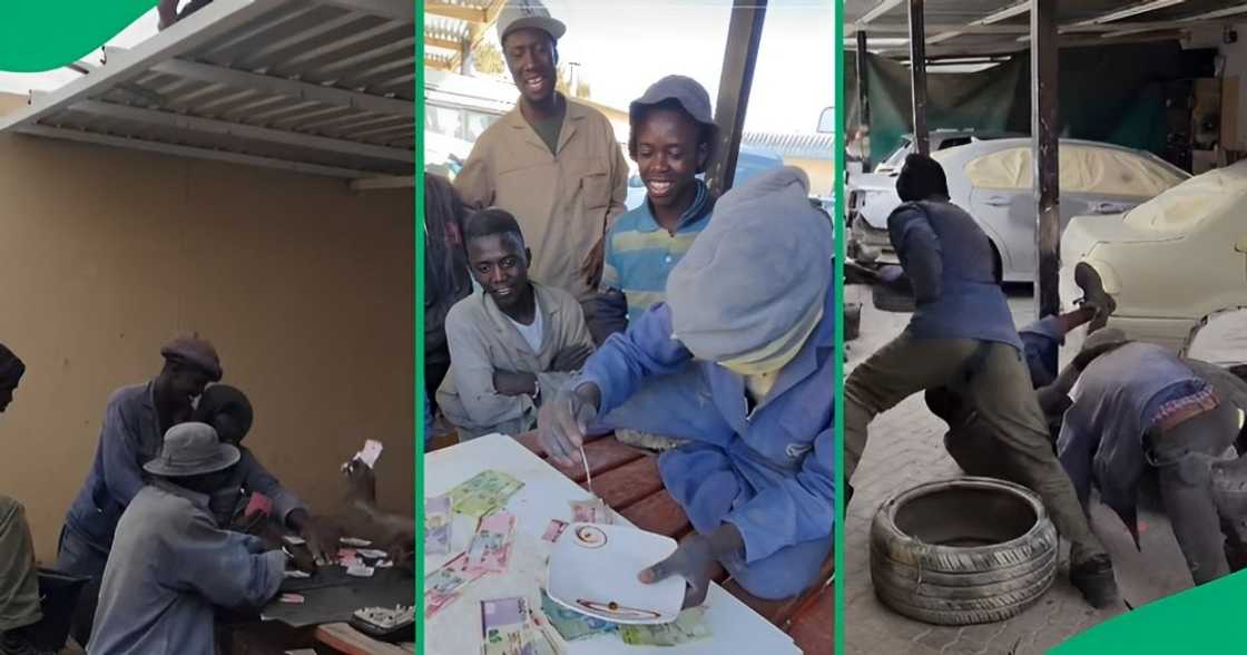 SA floored by men screaming because of snake SA floored by men screaming because of snake