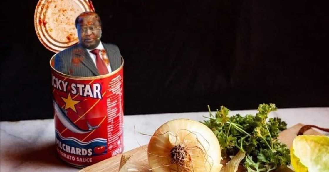 Tito Mboweni Gets Another Good Roasting After Posting His Chickens Tito Mboweni Gets Another Good Roasting After Posting His Chickens