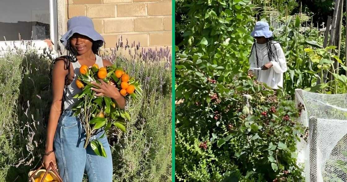 Black woman works on farm.