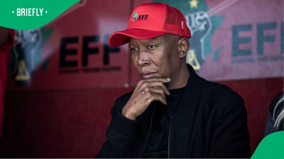 Julius Malema won't allow the Phala Phala theft to be forgotten