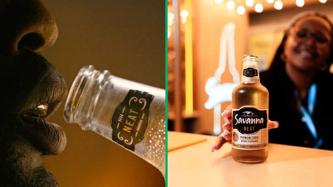 Savanna has launched a new cider flavour called Savanna Neat Savanna has launched a new cider flavour called Savanna Neat