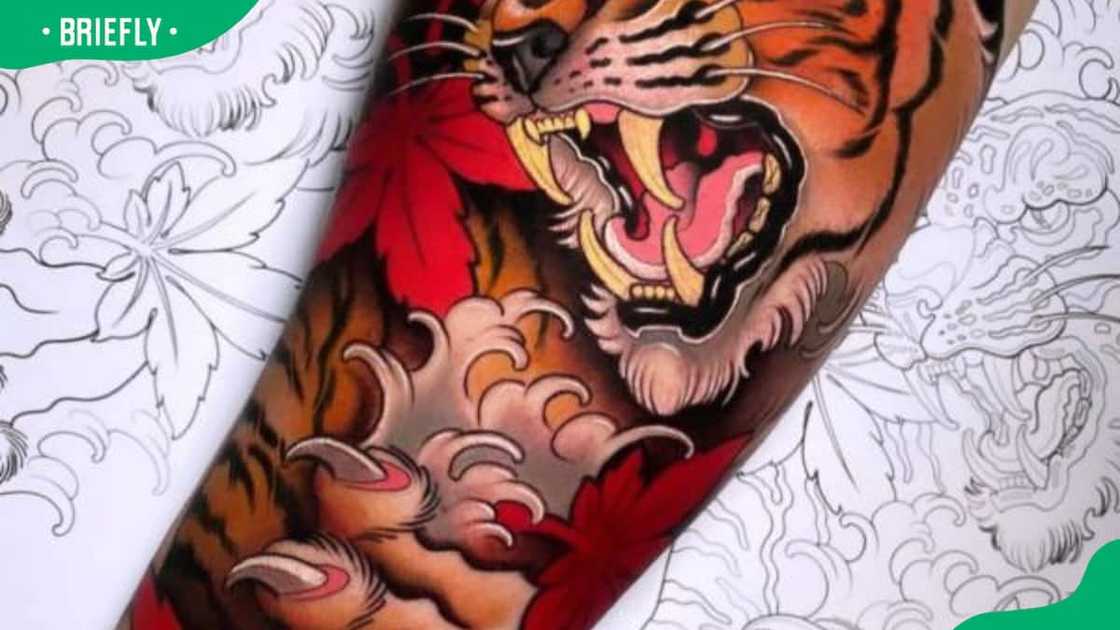 Japanese tiger and claw tattoo design