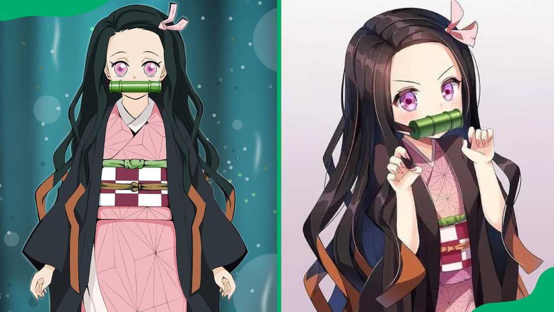Nezuko Kamado Nezuko Kamado