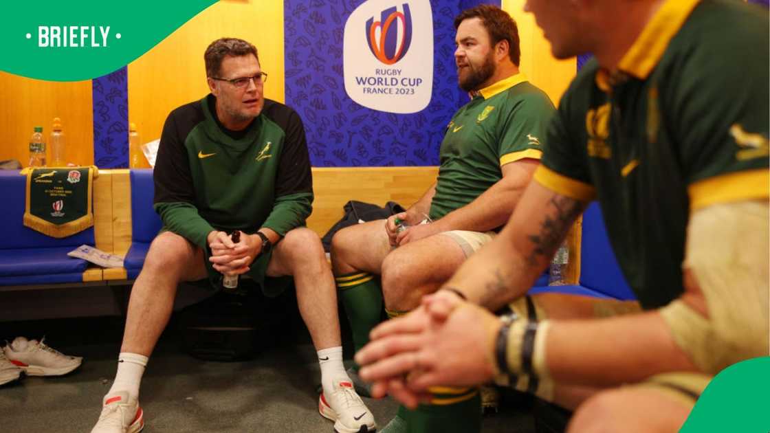 Rassie Erasmus provides a fresh update on Frans Malherbe's injury recovery and retirement concerns Rassie Erasmus provides a fresh update on Frans Malherbe's injury recovery and retirement concerns
