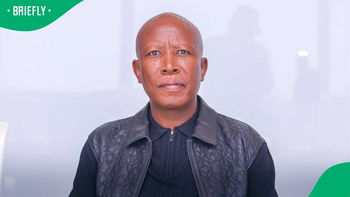 Julius Malema was very vocal during Parliament's Ad Hoc Committee hearings