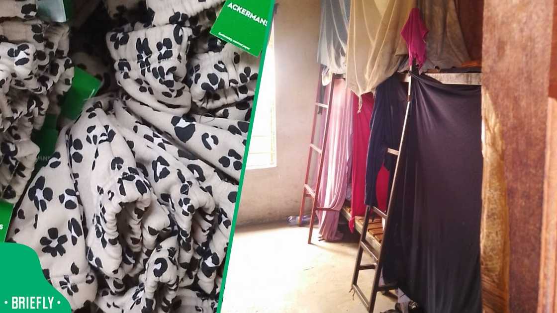 Department of labour