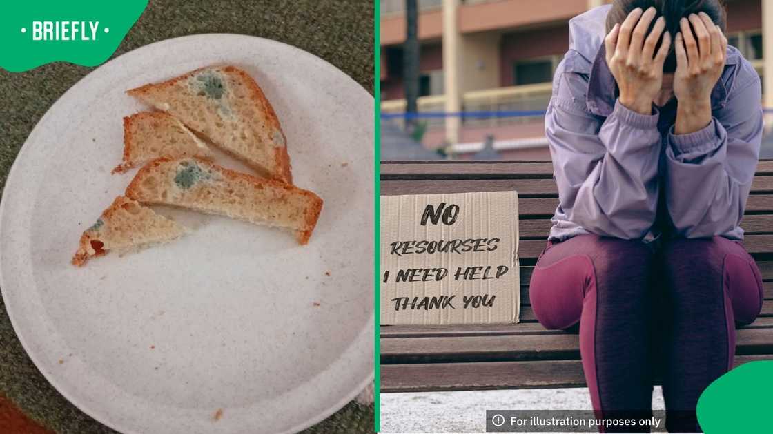 A UNISA graduate and mother of three has struggled to find work and begs for food for her children A UNISA graduate and mother of three has struggled to find work and begs for food for her children